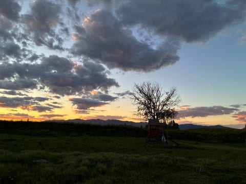 Tiny Home