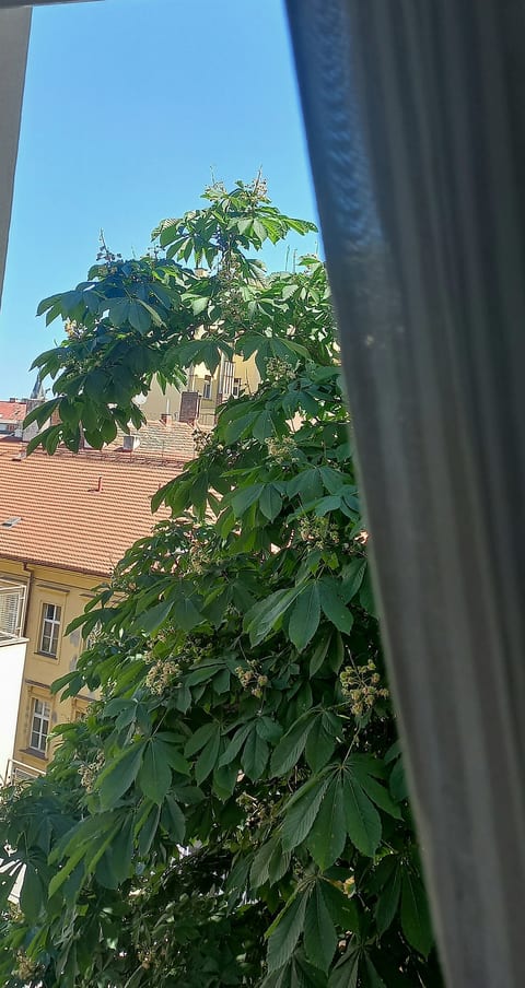 Quiet flat next to Wenceslas Square image 5