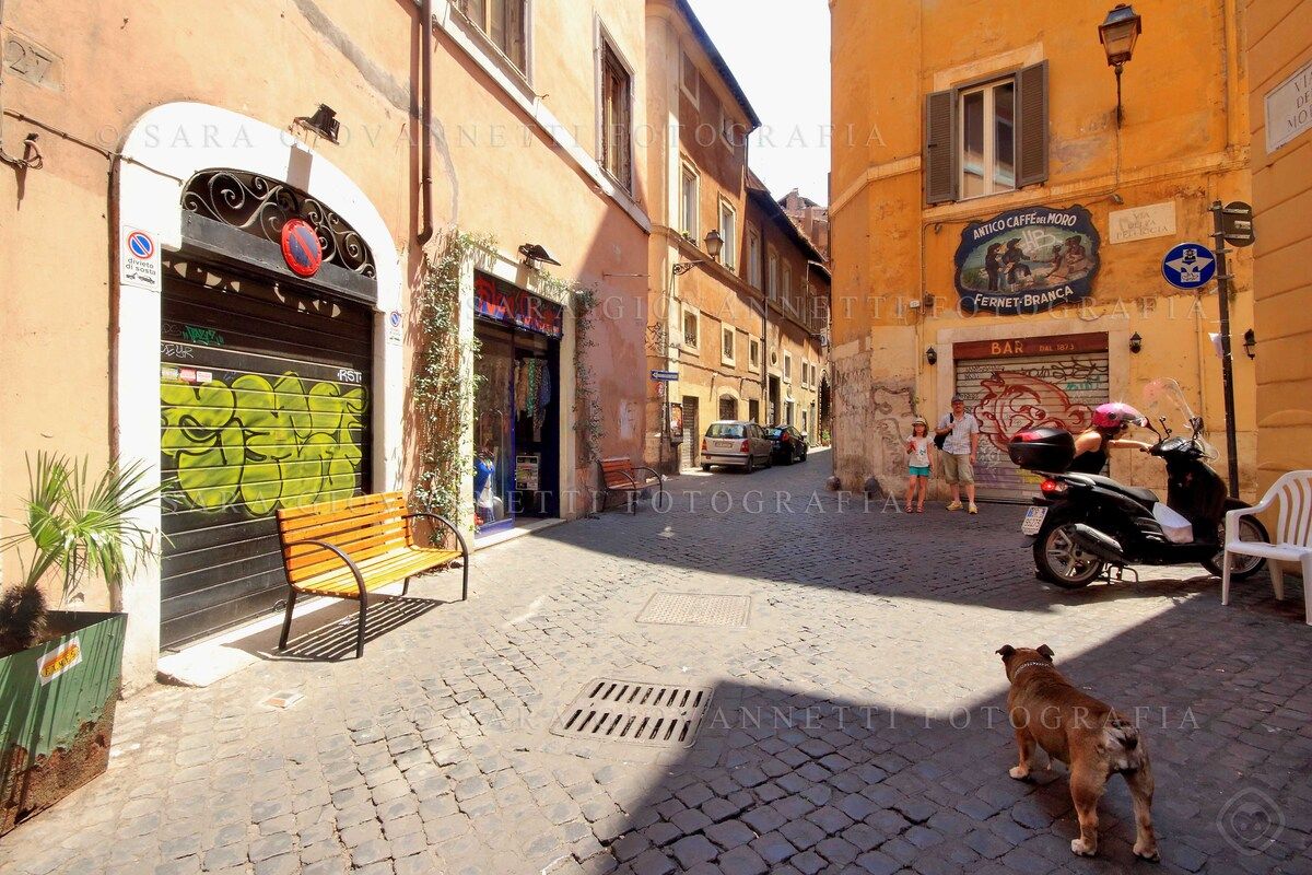 Via del Moro in trastevere