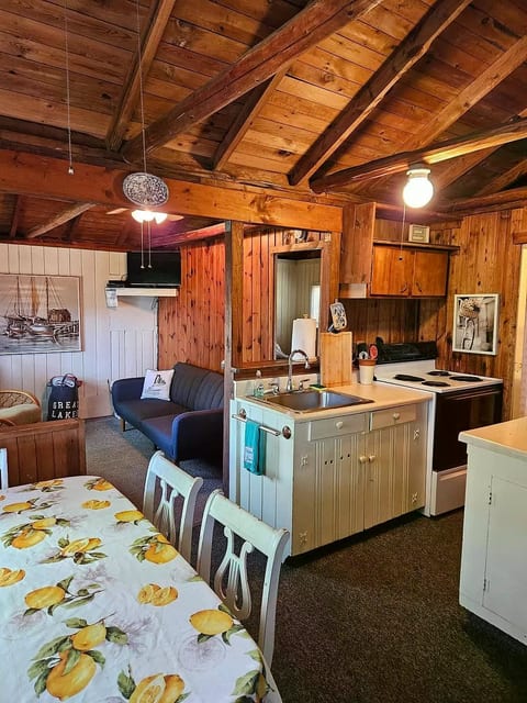Kitchen/living area