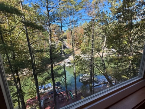 View from bedroom window:   Wake up to this peaceful Watauga Lake view right from your bedroom window.