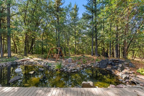 Private wooded pond with rustic swing and serene nature views