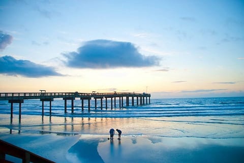 Just minutes from your front door! Spend your days exploring the soft sands, searching for seashells, and walking along the beautiful local pier.