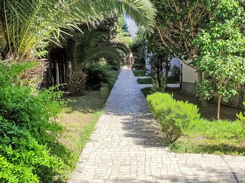 Yasmine Hammamet