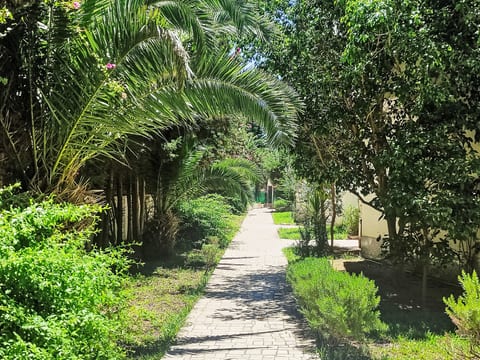 Yasmine Hammamet