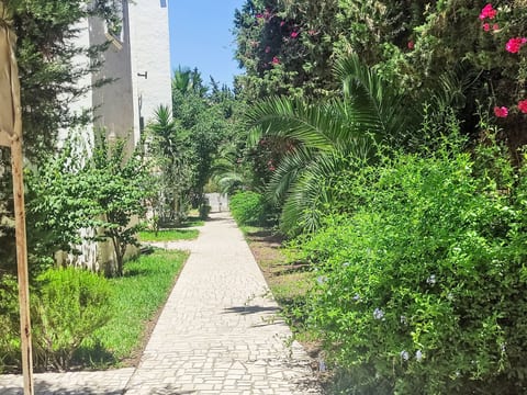 Yasmine Hammamet
