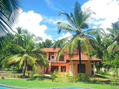 Palmtree