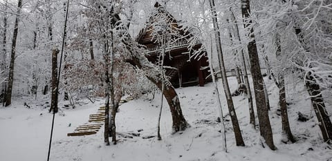 Unforgettable Dreams Cabin