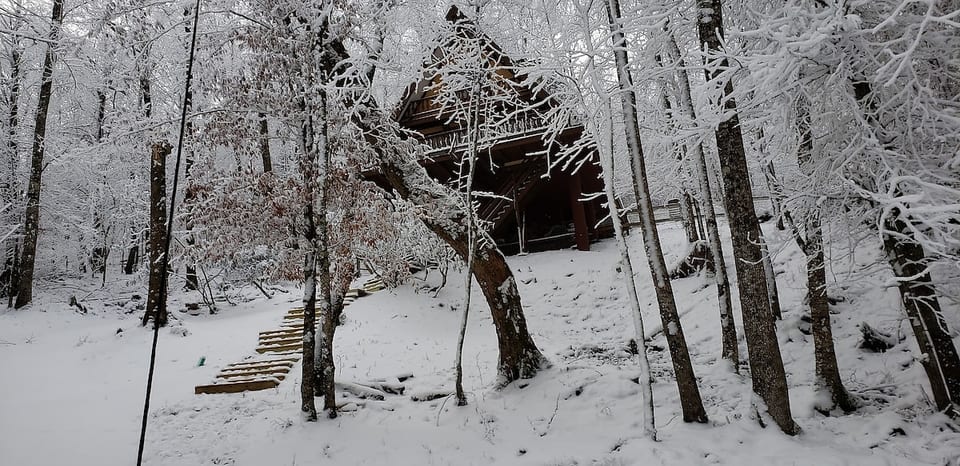 Unforgettable Dreams Cabin image 1