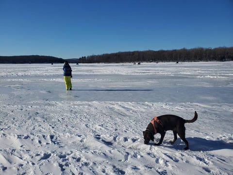 Sunset View: Lakefront Pet-Friendly | Dock