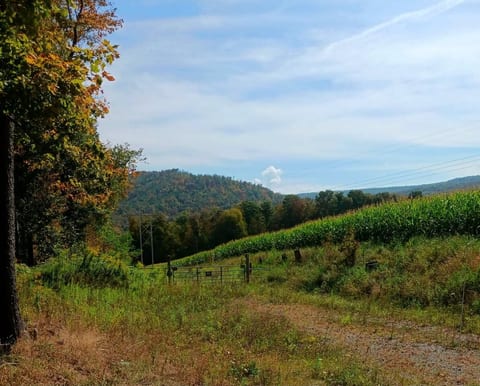 Blue Knob Adventure Townhouse • Hike, Bike & Ski