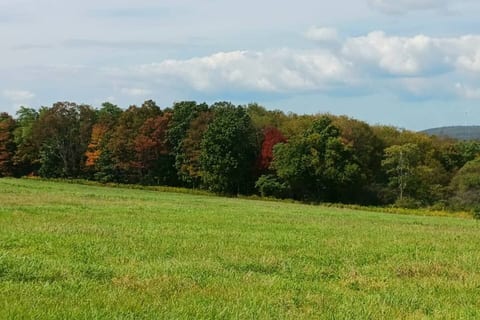 Blue Knob Adventure Townhouse • Hike, Bike & Ski