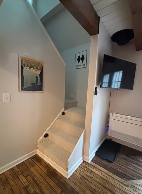 Cozy mountain-style entry with rustic floors, TV, and charming ski decor