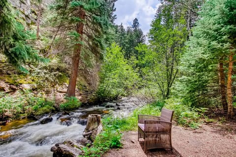 Rustic Funk Waterfront Pet Friendly Cabin