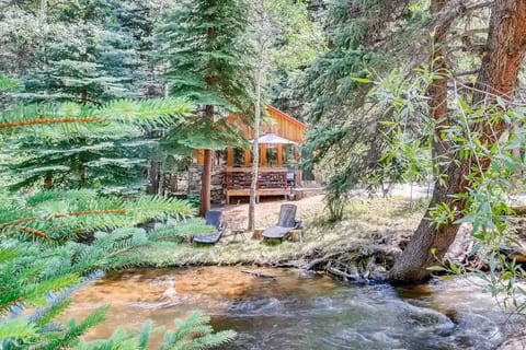 Epiphany Pines Waterfront work & play cabin