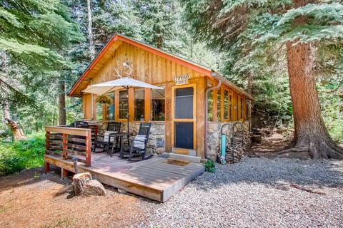 Epiphany Pines Waterfront work & play cabin