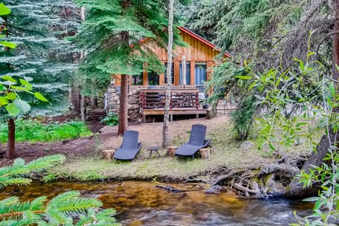 Epiphany Pines Waterfront work & play cabin