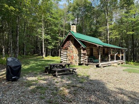 Secluded log cabin with covered porch, grill, and peaceful forest views