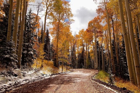 Mountain view