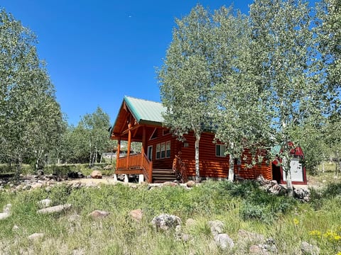 Charming cabin nestled among trees