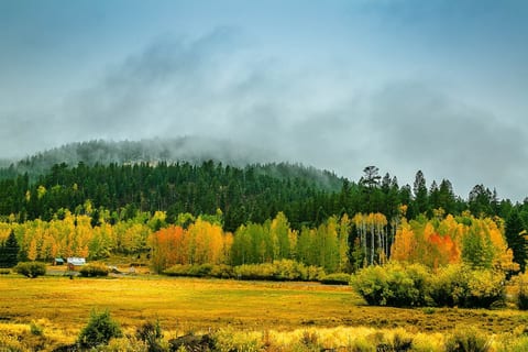 Vibrant fall colors in serene landscape