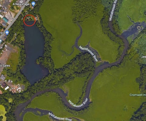 #24 *Serenity* A Lakefront Cottage Retreat