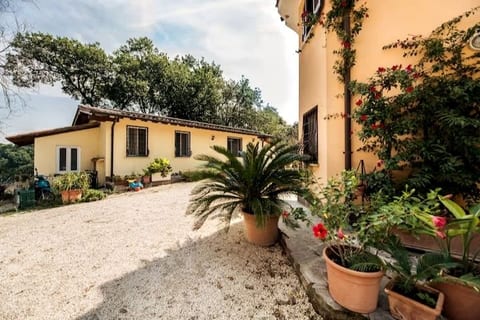 Short lets by Proietti - a real Domus Anghelos