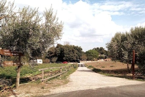 Short lets by Proietti - a real Domus Anghelos