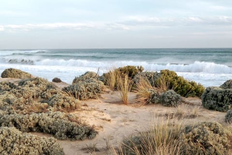 Only a few mins walk to Rye Ocean beach