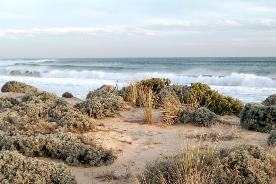 Only a few mins walk to Rye Ocean beach