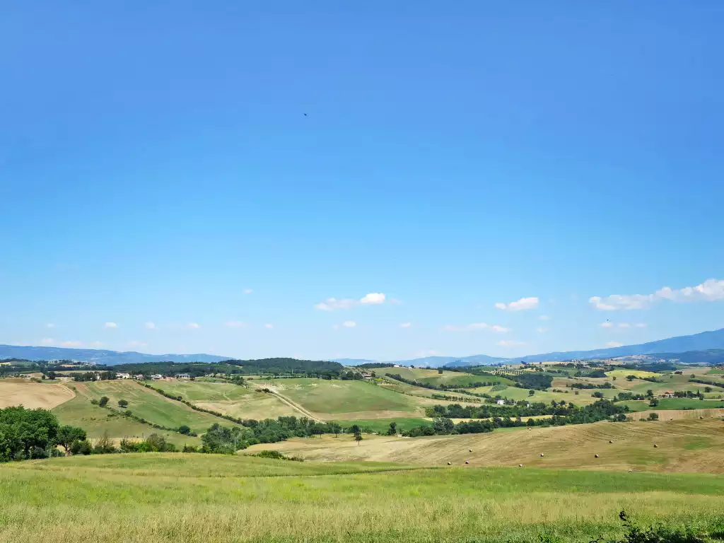 Salustri - Cinigiano