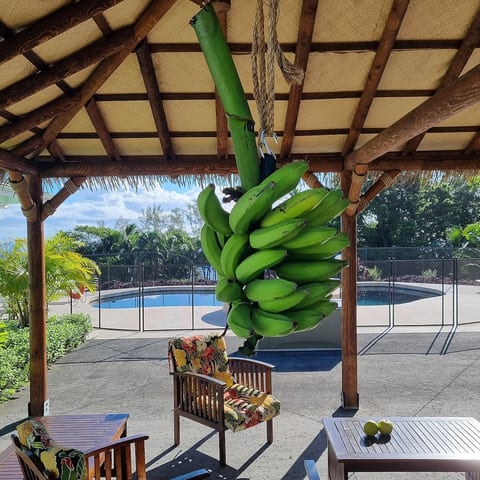 Eco-friendly farm stay with cacao, bananas, and orchards