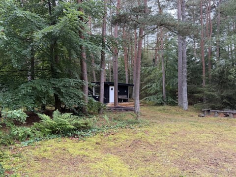 Inside other