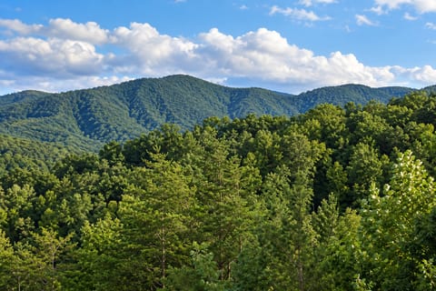 The view from Stay Wild opens to layers of Smoky Mountain ridgelines and forested hills, giving you that peaceful, tucked-away mountain feeling without ever leaving the cabin.