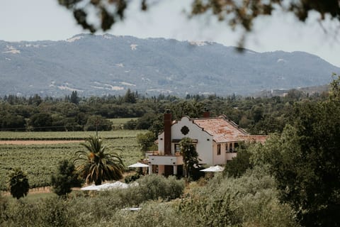Hollow Farm — Vineyard Estate with Pool