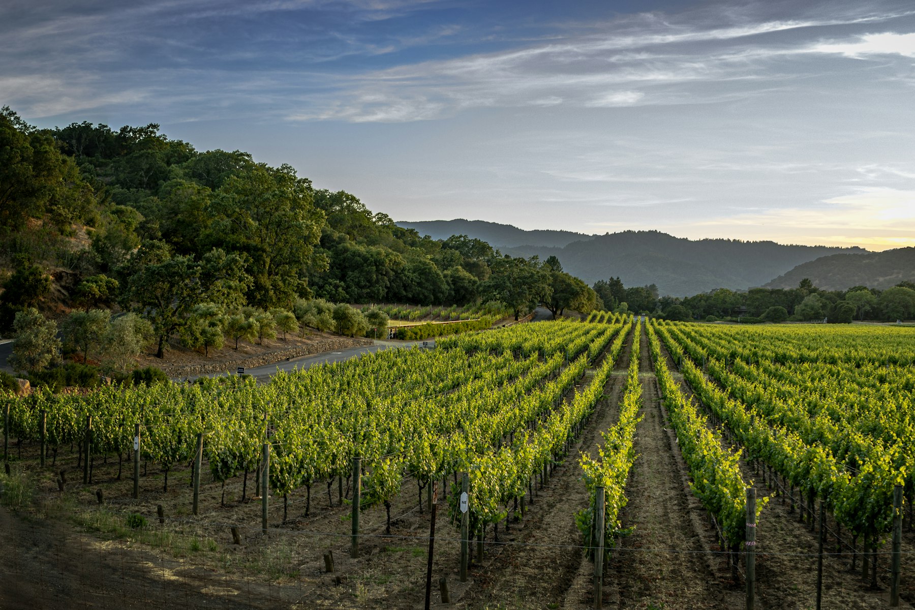Hollow Farm — Vineyard Estate with Pool