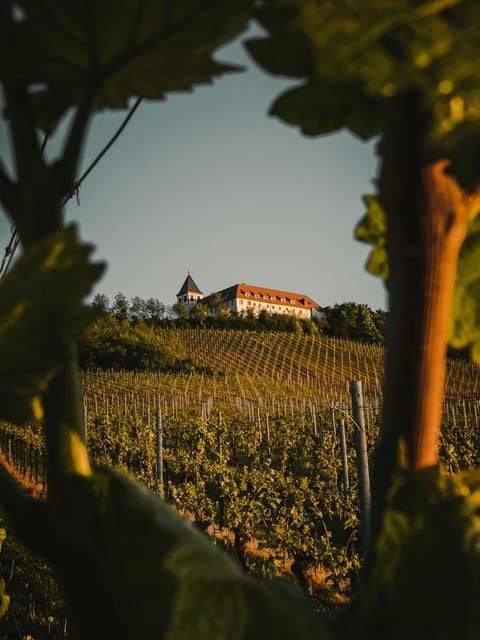 Hollow Farm — Vineyard Estate with Pool