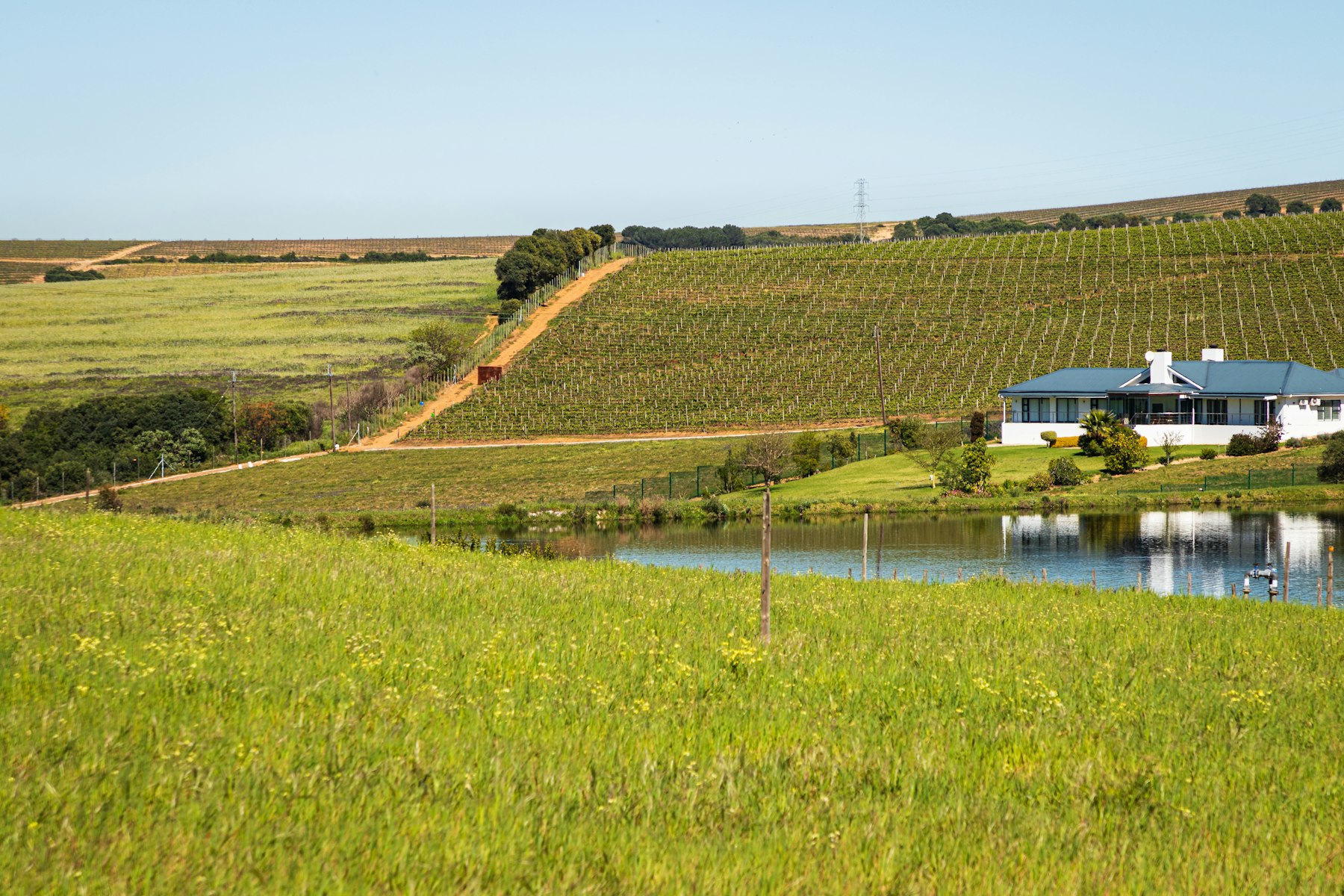 Hollow Farm — Vineyard Estate with Pool