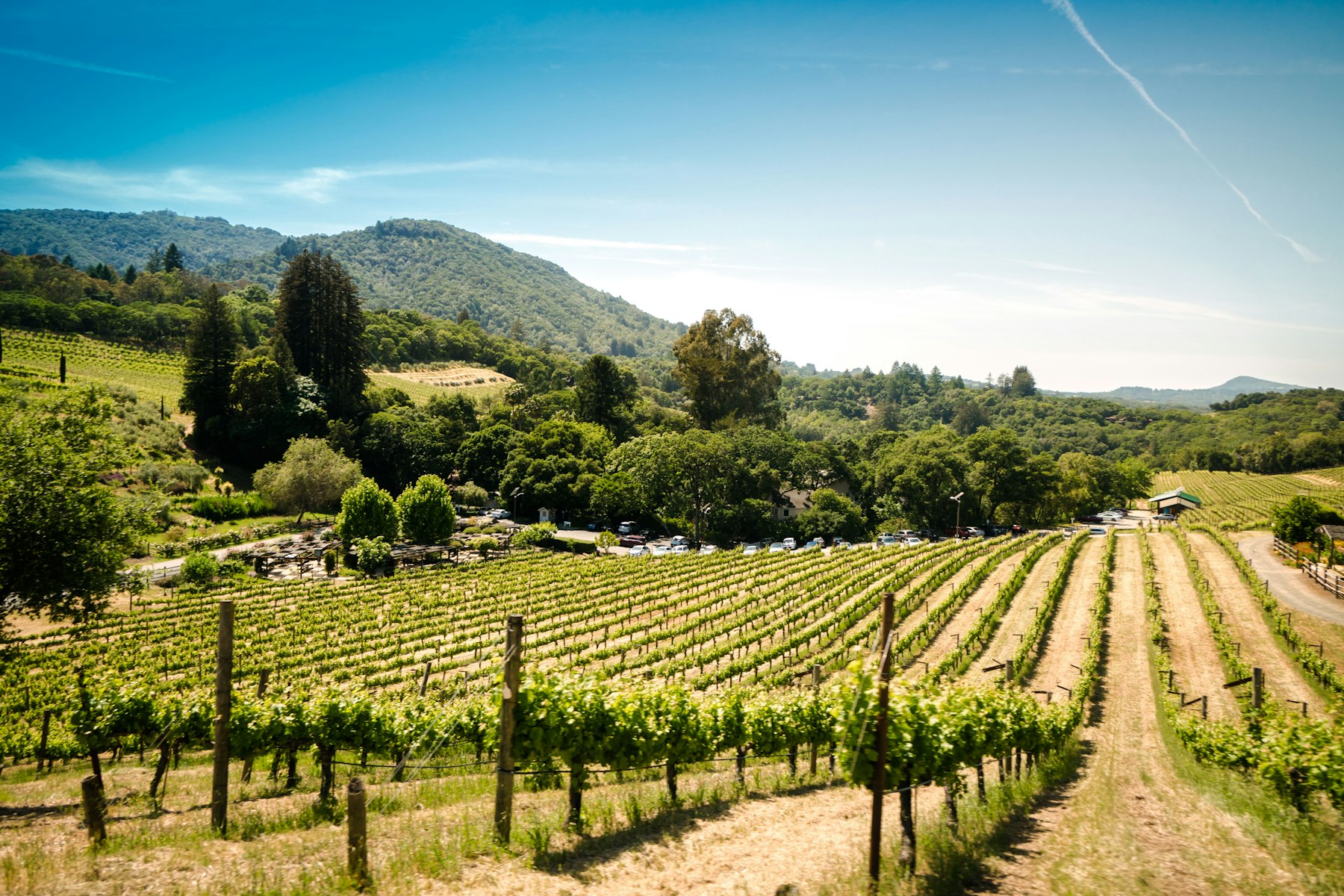 Hollow Farm — Vineyard Estate with Pool — photo 8