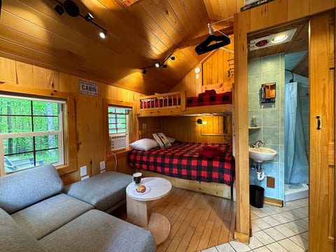 Bunny Hill Cabin -Pets, Shared Hot Tub
