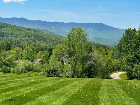 Mad Mountain Meadows