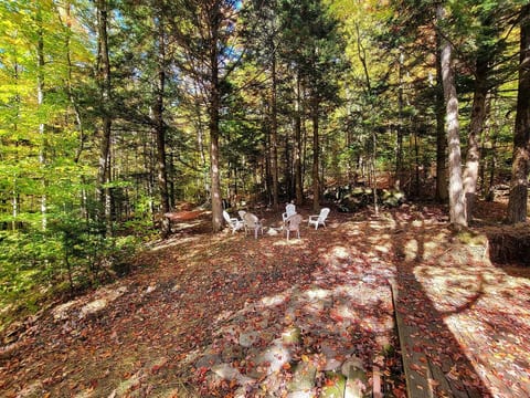Morel Mountain Hideaway