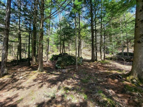 Morel Mountain Hideaway
