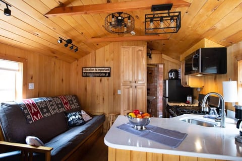 Kitchen into living area