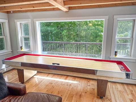 Shuffleboard