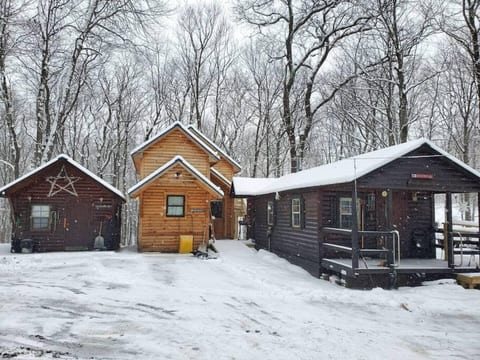 Alpine cabin in center