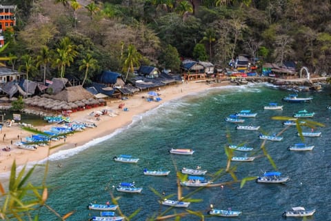 Puerto Vallarta Luxury Villa w/ Chef & Ocean Views - Villa Roca Loro