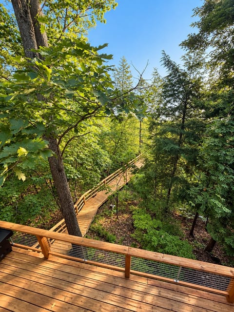 View of path to the dock from 2nd floor balcony.
