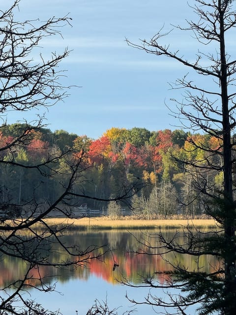 View of fall color from primary bedroom balcony upstairs.