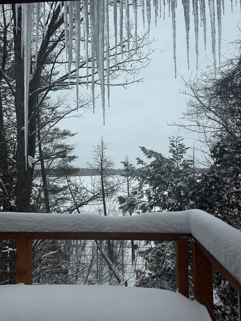 Winter view of the lake from primary bedroom balcony.
